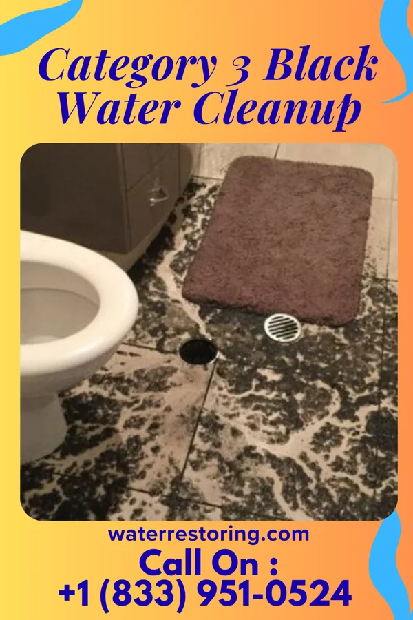 Category 3 Black Water Cleanup in Yampa, CO